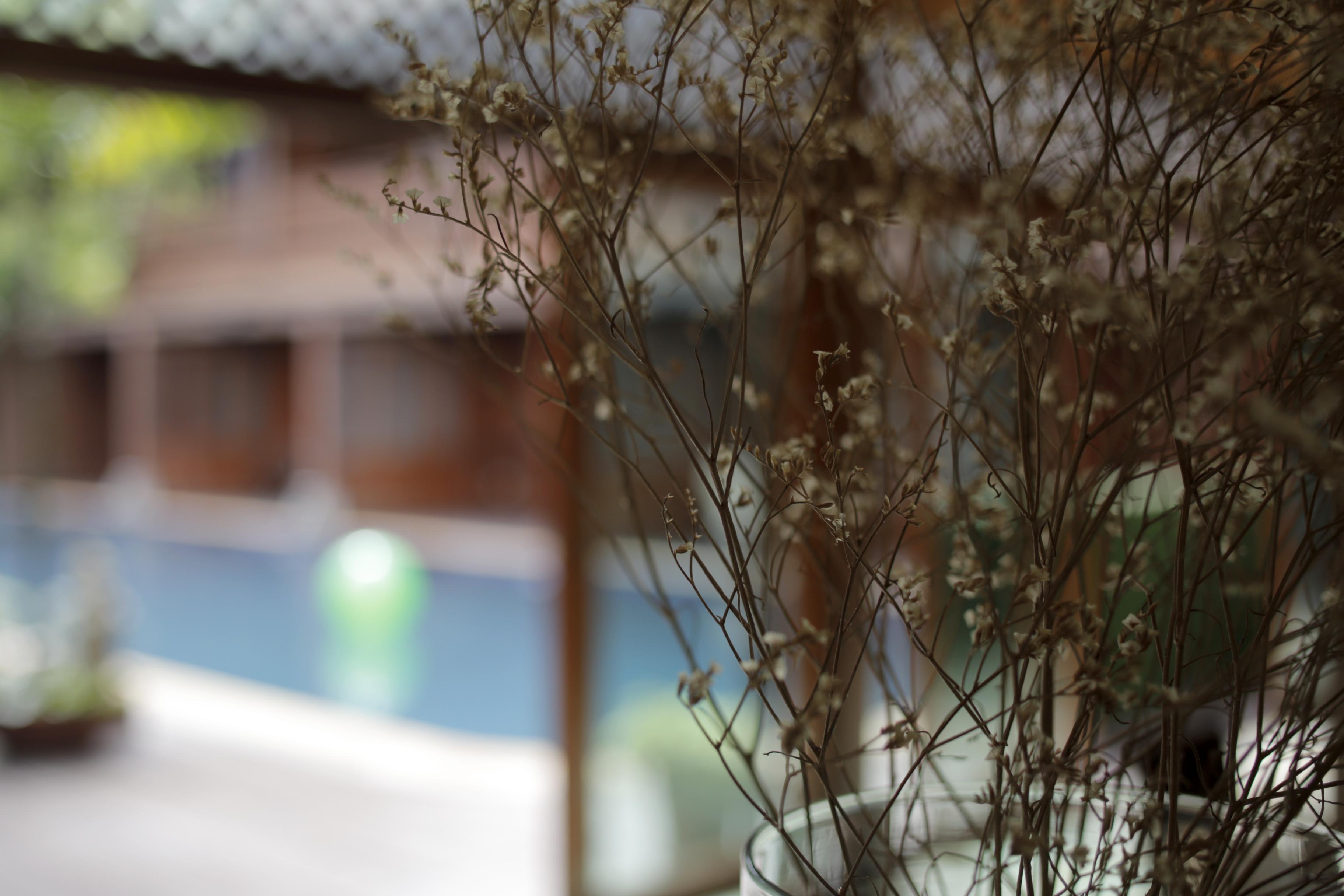 Baan U Sabai Boutique House-Sha Plus Chiang Mai Exterior photo